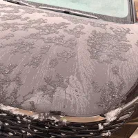 فونیکس اف ایکس مشکی  ۴۰۲