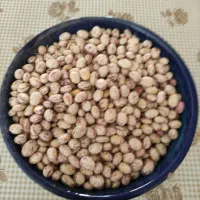 لوبیا چیتی درجه یک