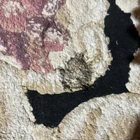 دوعددفرش۱۲متری|فرش|شاهین‌شهر, حافظ جنوبی|دیوار