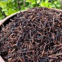 چای بهاره لاهیجان