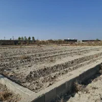 زمین کشاورزی