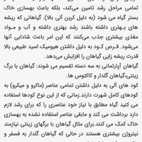 قرص کود برای گل های خانگی و آپارتمانی|گل و گیاه طبیعی|بوکان, |دیوار