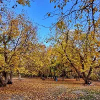 راهنمایی جهت سرمایه گذاری