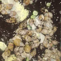 حلزون پیش مولد|خزنده|تهران, شهرک ولیعصر شمالی|دیوار