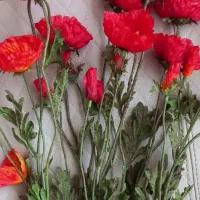 گل مصنوعی|گل مصنوعی|مشهد, فتح المبین|دیوار