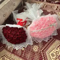 گل ربانی|گل و گیاه طبیعی|قم, علی آباد|دیوار