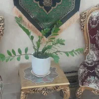 فروش مبل سلطنتی و میز غذا خوری|مبلمان خانگی و میز عسلی|قم, شهرک قدس|دیوار