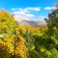 ویلا   کلبه  سیسخت|اجارهٔ کوتاهمدت ویلا و باغ|شیراز, قصرالدشت|دیوار