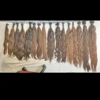 فروش وخرید موی طبیعی