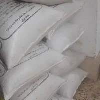 بذر قره یونجه