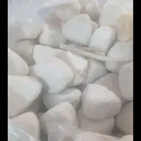 کشک بز