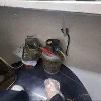 کپسول گاز۲عدد،موجود هست|اجاق گاز و لوازم برقی پخت‌وپز|رامسر, |دیوار