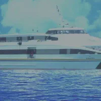 نماینده رسمی کشتیرانی والفجر و قطار