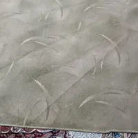 موکت پالاز