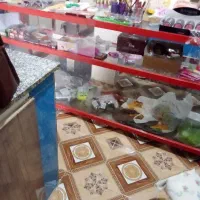 ویترین سالم دومتری