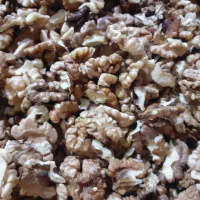 مغز گردو