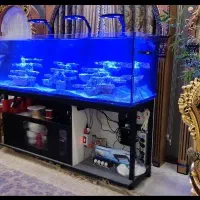 ساخت انواع آکواریوم