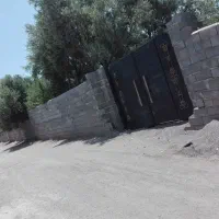 زمین گیلان رشت/ و فروش باغ زیتون شمال(لوشان) ویلا|فروش زمین و ملک کلنگی|چهاردانگه (تهران), |دیوار