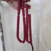 سندلوس آلمان مرجانی