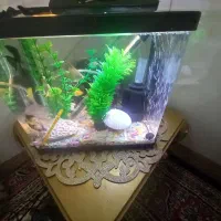 شیشه آکواریوم