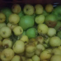 فروش باغ در نصرآباد با سند تک برگ و قیمت مناسب|فروش زمین و ملک کلنگی|تفت, |دیوار