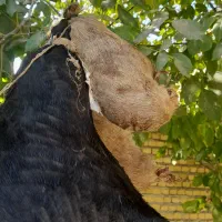 هیزه|ظروف نگهدارنده، پلاستیکی، یکبارمصرف|الشتر, |دیوار