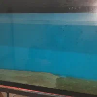 آکواریوم سایز بزرگ|ماهی|خرمآباد, |دیوار