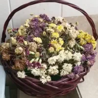 حدود ۲۰ عدد سبد خالی گل از سایز گوچک تا بزرگ|صنایع دستی و سایر لوازم تزئینی|تهران, شهرک غرب|دیوار