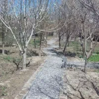 باغ