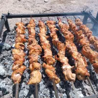 دستگاه سیخ گردان ( کباب پز )