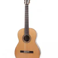 گیتار آنتونیو سانچز s20|گیتار، بیس، امپلیفایر|چابهار, |دیوار