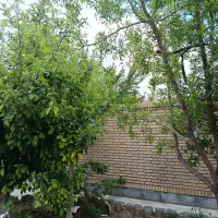 زمین چاهشک باغبان ۱۶