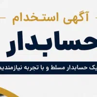حسابدار مالی