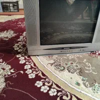 تلویزیون اسنوا