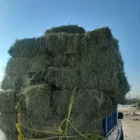 یونجه چین ۲