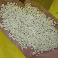 برنج طارم برنج محلی برنج مازندران|خوردنی و آشامیدنی|مشهد, ابوذر|دیوار