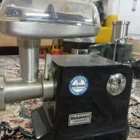 چرخ گوشت دلمونتی