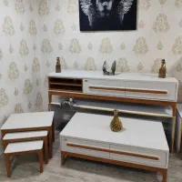 جلو مبلی عسلی شیک و خاص