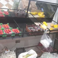 فروش وسایل میوه فروشی
