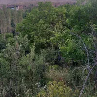باغ و ویلا آماده ساخت|فروش زمین و ملک کلنگی|تهران, مجیدآباد|دیوار