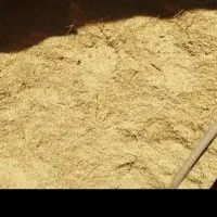 فروش کاه دیم تحویل در انبار