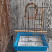 قفس در حد نو