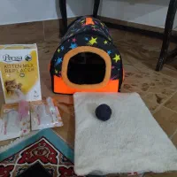 لوازم جانبی گربه