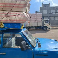 خوراک دام.فروشکاه.یونجه.گندم.جو