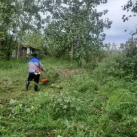 چمن زنی باغ