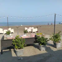 واگذاری کافه  لب ساحل