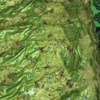 کولر و لباس محلی