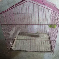 قفس بزرگ پرنده