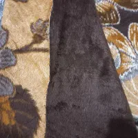 پتو و پشتی|پشتی|گرگان, |دیوار