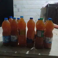 سرکه سیب امسالی از سیب‌های باغ خودمونه